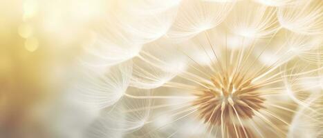 Macro shot of a dandelion highlighting its soft. AI Generative photo