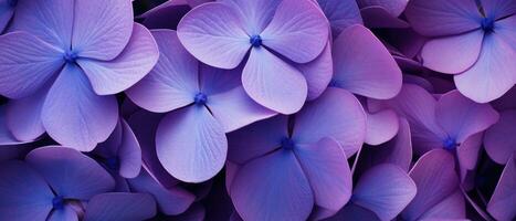 Close-up of dew-kissed purple flowers. AI Generative photo
