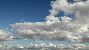 zacht wit en pluizig wolken drijvend Aan blauw lucht video