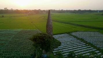 aereo Visualizza verde verdura giardino Il prossimo per vecchio crematorio, aereo Visualizza e alto angolo video di antico siti, vecchio crematorio, vecchio pagode, vecchio templi