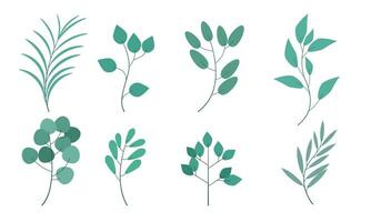 set collection of leaves, beautiful leaf elements for decoration and design vector