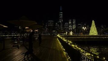 nieuw york stad, Verenigde Staten van Amerika - januari 24, 2021 verlichte lager Manhattan visie van j Owen grof park in Jersey stad Bij winter nacht. kerstmis. Hudson rivier. mensen met hond voorbijgaan door video