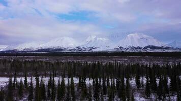 épicéas et enneigé montagnes sur hiver journée. bleu ciel avec des nuages. majestueux paysage de Alaska, Etats-Unis. aérien voir. drone mouches vers l'avant plus de conifère des arbres video