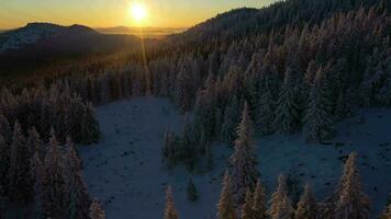 dvuglavaya montaña y conífero bosque cubierto con nieve a puesta de sol. aéreo vista. taganay nacional parque, del Sur Urales, Rusia. zumbido moscas oblicuo, inclinación arriba video