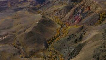 rouge collines de argile, montagnes, et mélèzes dans l'automne. aérien voir. Mars. le altaï montagnes, Russie. révéler coup video