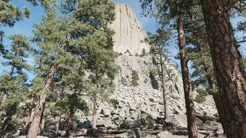 diavoli Torre butte nel estate. Wyoming, Stati Uniti d'America. fpv Visualizza, a piedi attraverso verde alberi video