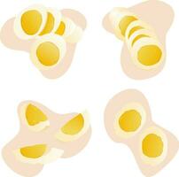 A set of images of eggs of different shapes lying on the surface. Pieces of boiled egg. Chop the boiled eggs. Vector illustration