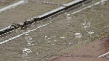 lluvia agua gotas que cae a cuadrado enguijarrado imágenes. video