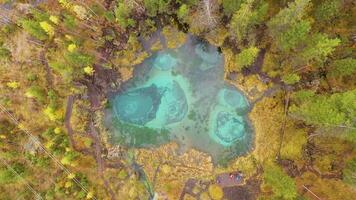 Geyser Blue Lake and Yellow Trees in Autumn. Aerial Top-Down View. Altai Republic, Russia. Drone Flies Upwards and Rotates video