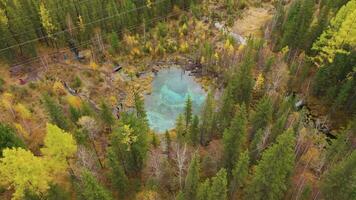 scaldabagno blu lago e giallo alberi nel autunno. aereo Visualizza. altai repubblica, Russia. fuco mosche inoltrare, inclinazione giù video