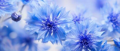 Detailed close-up of Cornflower petals. AI Generative photo