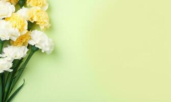 elegante claveles en lleno floración, presentación un armonioso mezcla de amarillo y blanco matices ai generativo foto