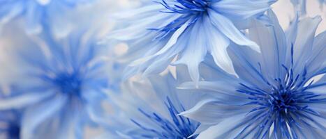 Detailed close-up of Cornflower petals. AI Generative photo