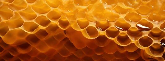 Detail view of a honeycomb structure. AI Generative photo