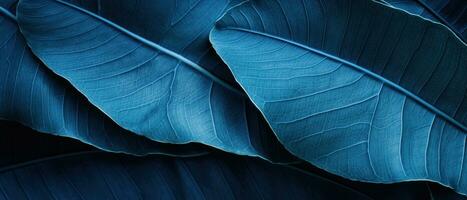 Close-up of blue-hued tropical leaves. AI Generative photo