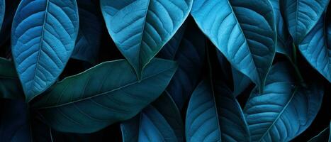 Close-up of blue-hued tropical leaves. AI Generative photo