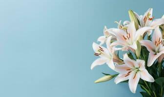 Elegant lilies spread across a tranquil light blue backdrop. AI Generative photo