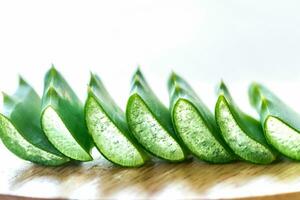 Fresh leaves of Aloe Vera photo