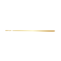 Aesthetic golden line png