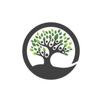 family tree logo template vector