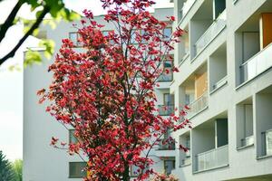 Residential Building on sky background. Facade of a modern housing construction with of balconies. photo