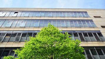 Corporate architecture building. New white modern office building photo