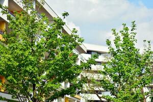 Ornamental shrubs and plants near a residential city house photo