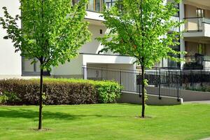 Ornamental shrubs and plants near a residential city house photo