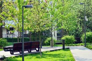 Ornamental shrubs and plants near a residential city house photo