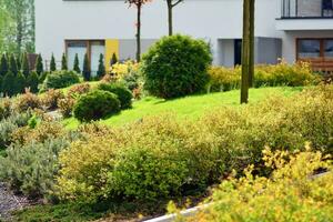 Ornamental shrubs and plants near a residential city house photo