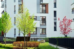 ornamental arbustos y plantas cerca un residencial ciudad casa foto