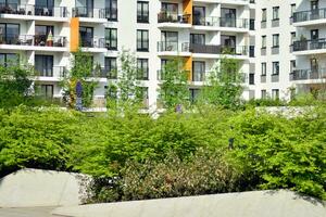 ornamental arbustos y plantas cerca un residencial ciudad casa foto