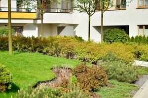 Ornamental shrubs and plants near a residential city house photo