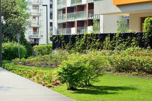 Ornamental shrubs and plants near a residential city house photo