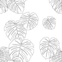 Monstera leaves pattern line art for decorate your designs with tropical illustration isolated on white background vector