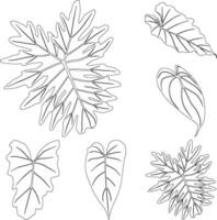 Philodendron leaves line art tropical plant leaf collection isolated on white background vector