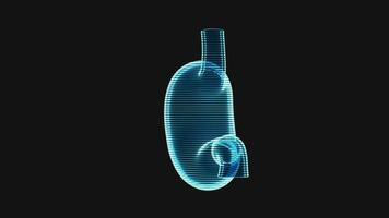 Loop animation of stomach with holographic effect, 3d rendering. video