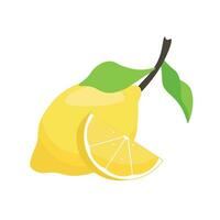 Fresh lemon fruit. Lemon with leaves isolated on white. Vector illustration