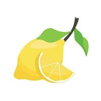 Fresh lemon fruit. Lemon with leaves isolated on white. Vector illustration