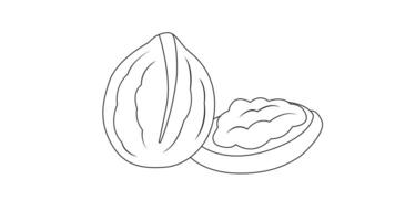 animated sketch of a walnut icon video