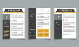 Vector Resume Design Template Layout