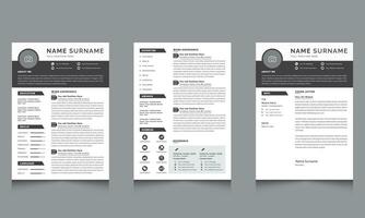 Job Resume Template and Professional Resume cv vector