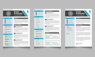Professional Graphic Designer Resume Layout with Cover Letter vector
