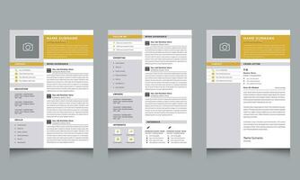 Modern CV Resume Layout and Creative Resume Layout vector