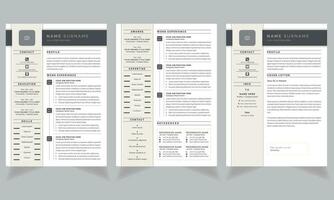 Resume Layout with Sidebar Resume Layout vector