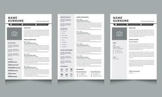 Resume Layout with Creative Cv Templates vector