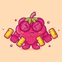 cute raspberry fruit character mascot doing bodybuilding using dumbbell isolated cartoon in flat style design vector