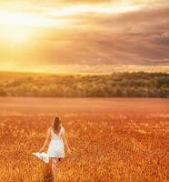 joven mujer caminando en el trigo campo a puesta de sol. espalda vista. foto