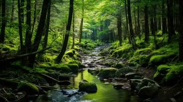 Peaceful forest oasis with clear stream surrounded by lush greenery wallpaper background landscape. AI generative photo