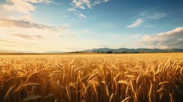 Wheat field ears golden wheat against a blue sky. wallpaper. AI generative photo